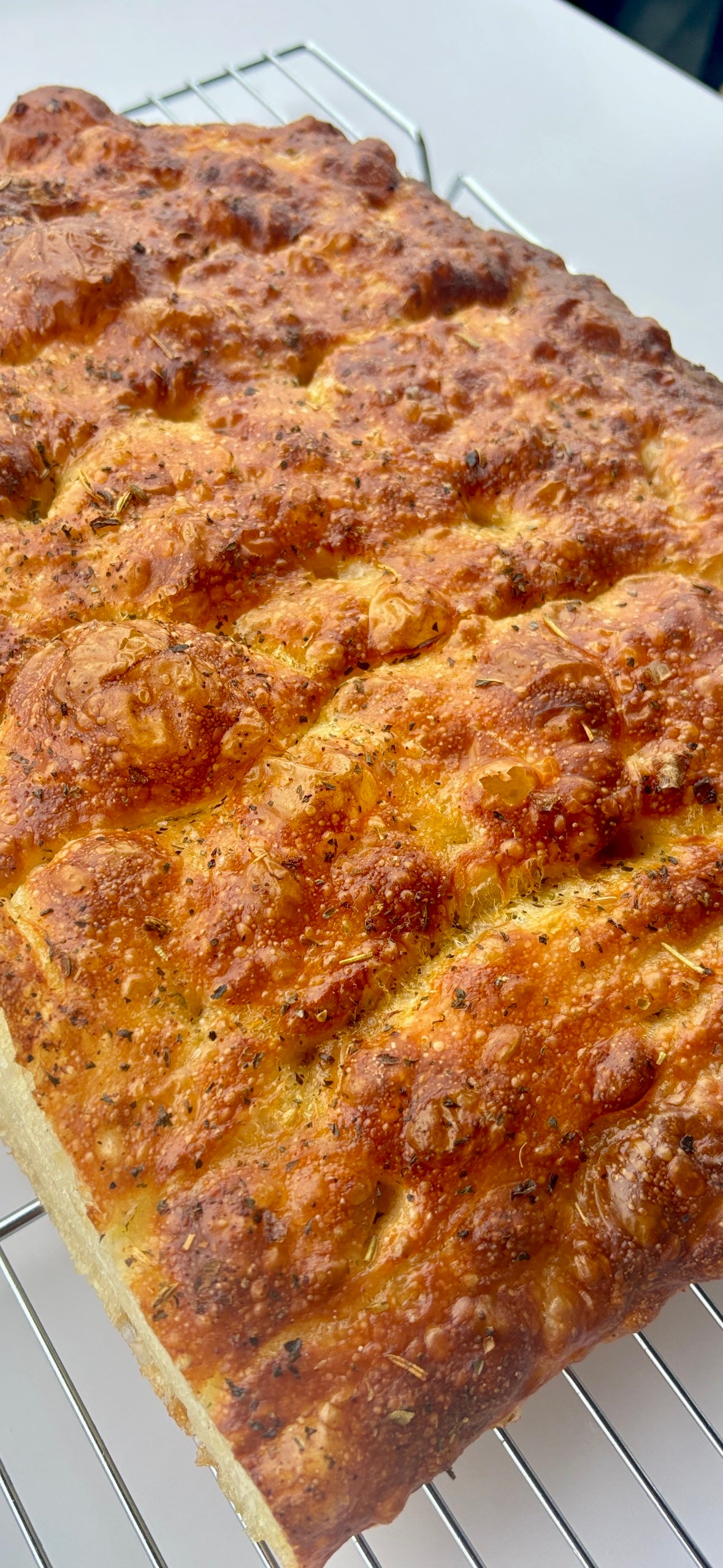 Italian Herb | Classic Collection Mr Focaccia YEG
